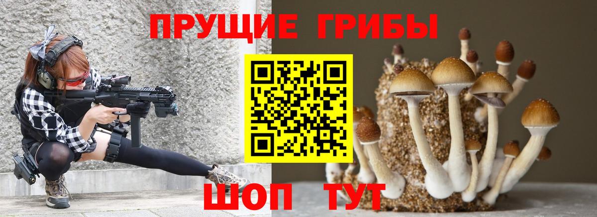 Арзамас  Псилоцибиновые грибы мухоморы  Галлюциногенные грибы GOLDEN TEACHER  Вход с VPN 
